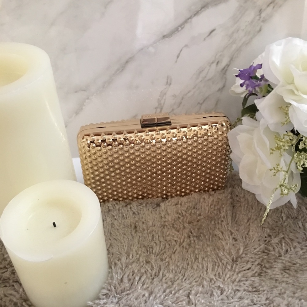 BCBG Maxazria clutch/ handbag
